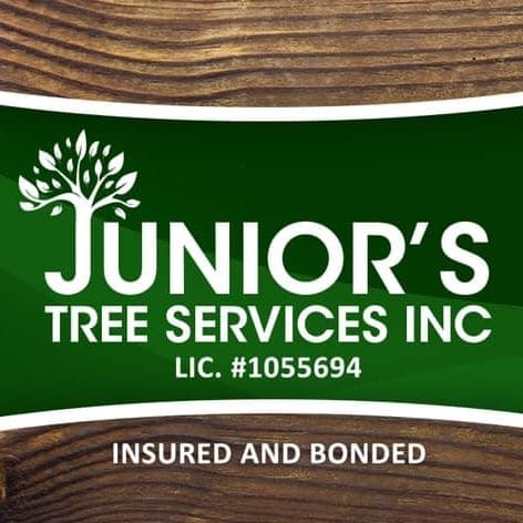 Juniors Tree Service Inc